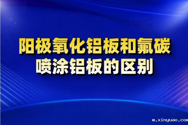 开云网页版本图片