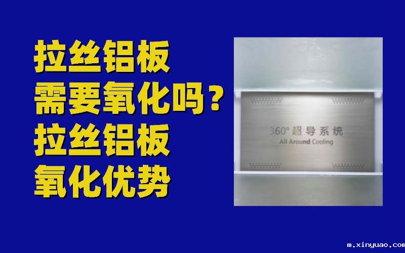 开云网页版本图片