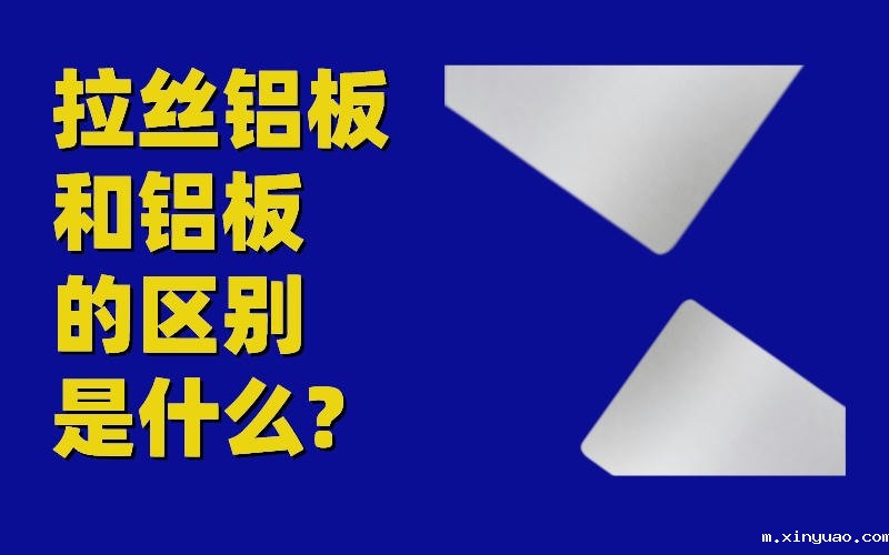 开云网页版本图片