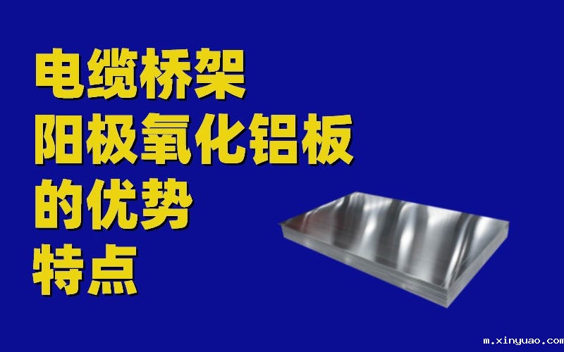 开云网页版本图片