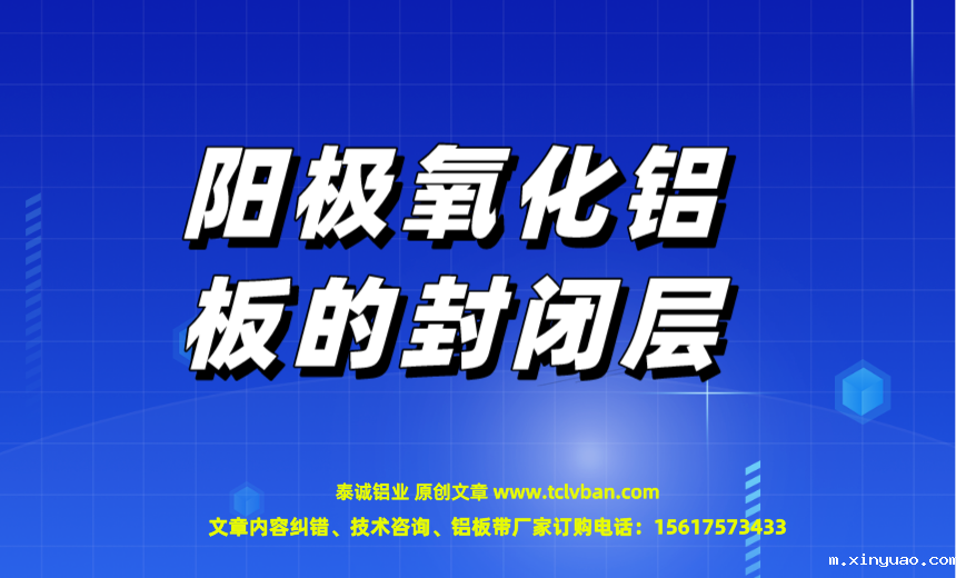 开云网页版本图片