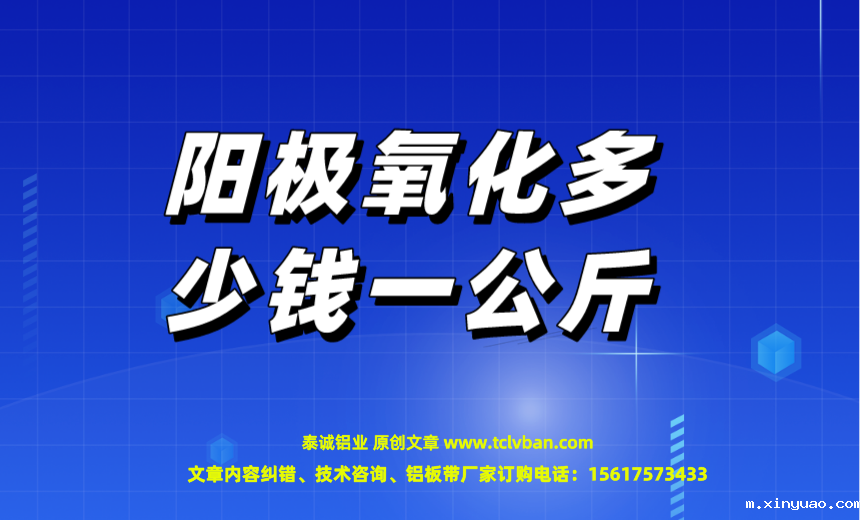 开云网页版本图片