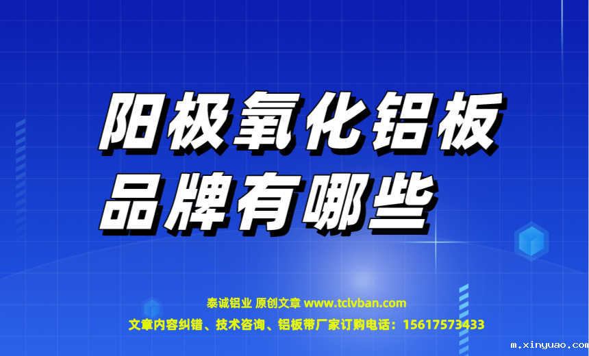 开云网页版本图片