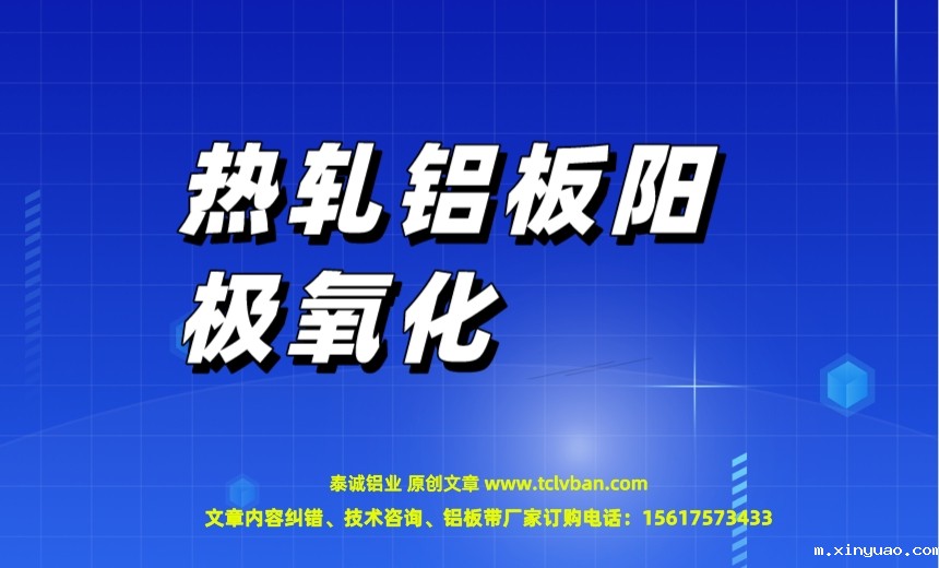 开云网页版本图片