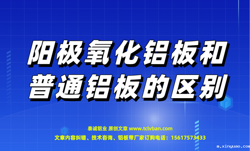 开云网页版本图片