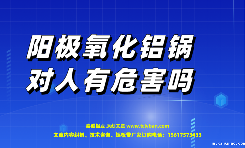 开云网页版本图片