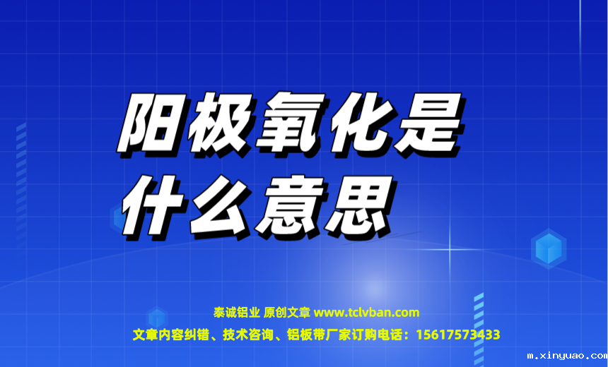 开云网页版本图片