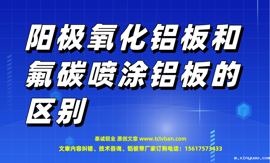 开云网页版本图片