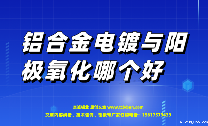 开云网页版本图片