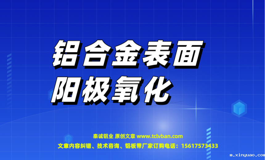 开云网页版本图片