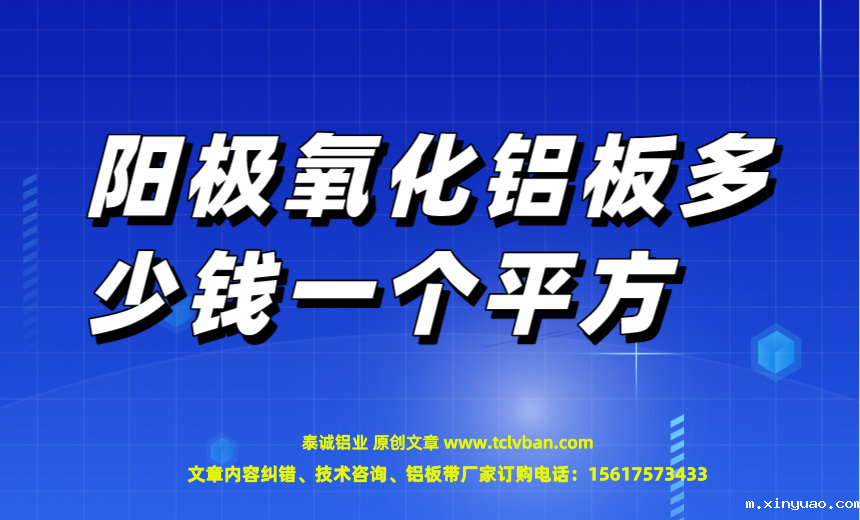 开云网页版本图片