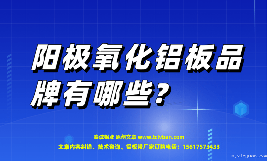 开云网页版本图片