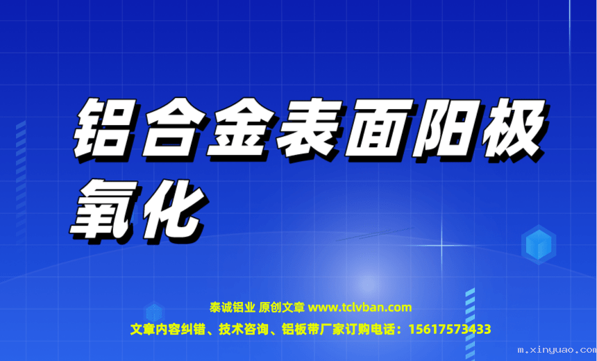 开云网页版本图片
